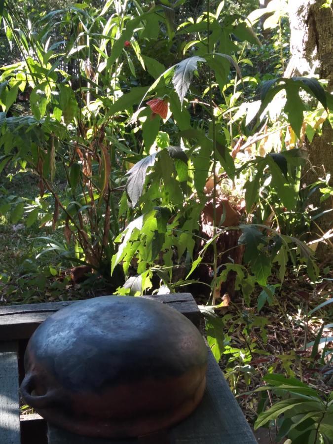 Jardin De Naipi 2 Apartman Puerto Iguazú Kültér fotó