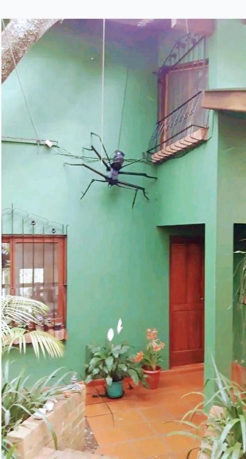 Jardin De Naipi 2 Apartman Puerto Iguazú Kültér fotó